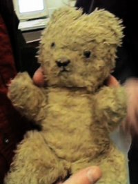 Softly, the famous teddy bear